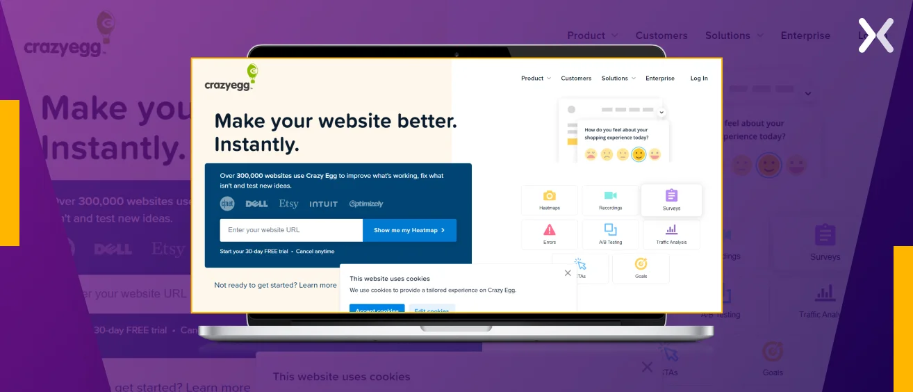 Crazy-Egg-landing-page-optimization-tool.webp