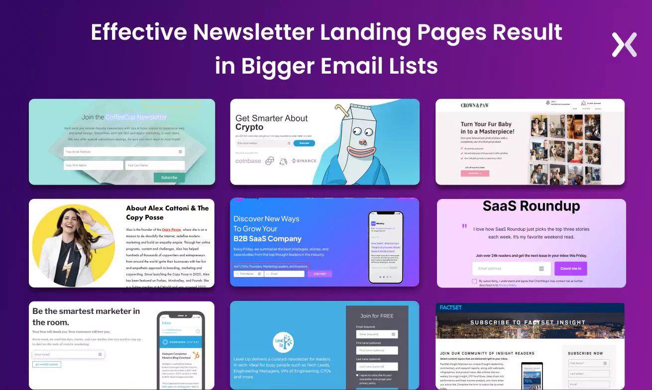 Effective-newsletter-landing-pages.webp