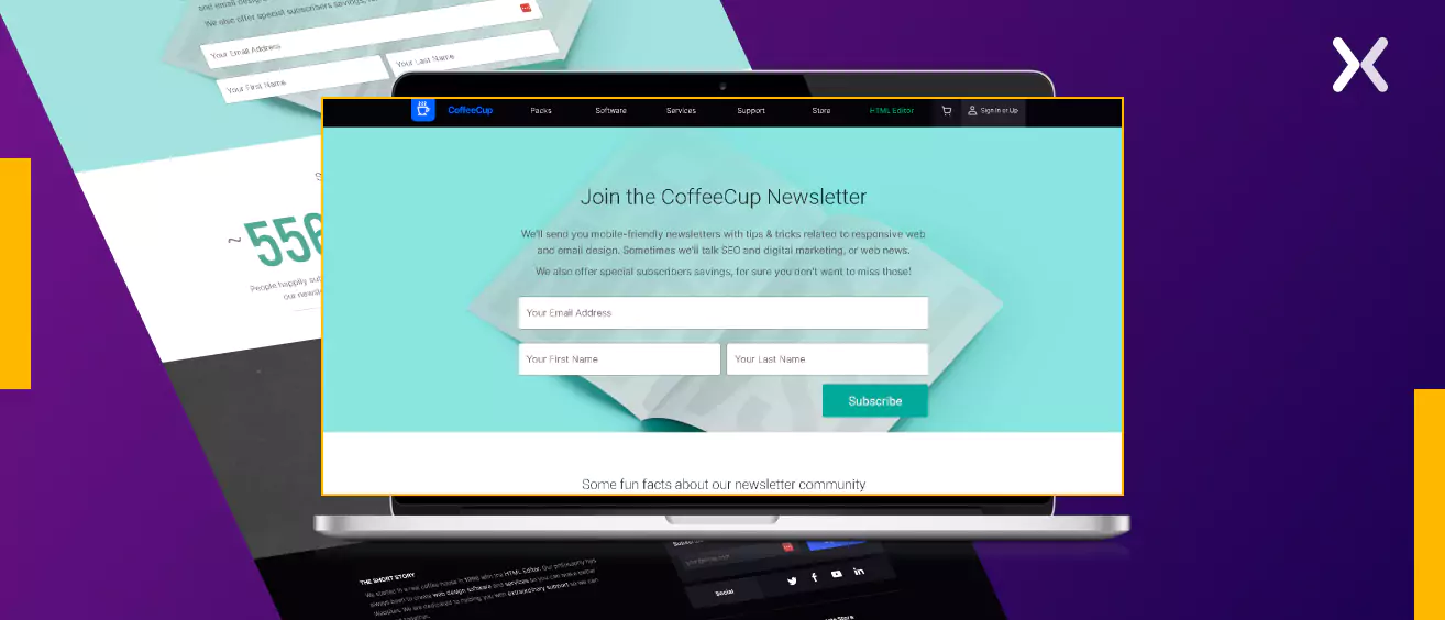 Newsletter-landing-page-inspiration-for-hero-section.webp