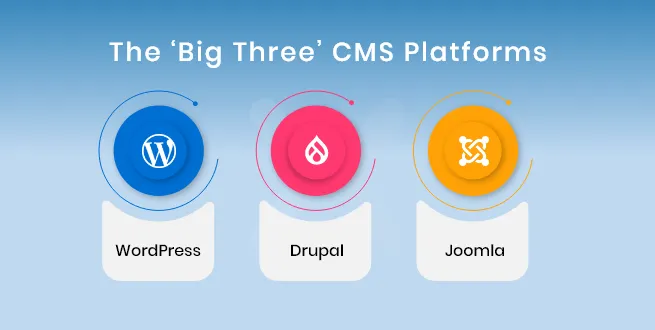  CMS-platforms