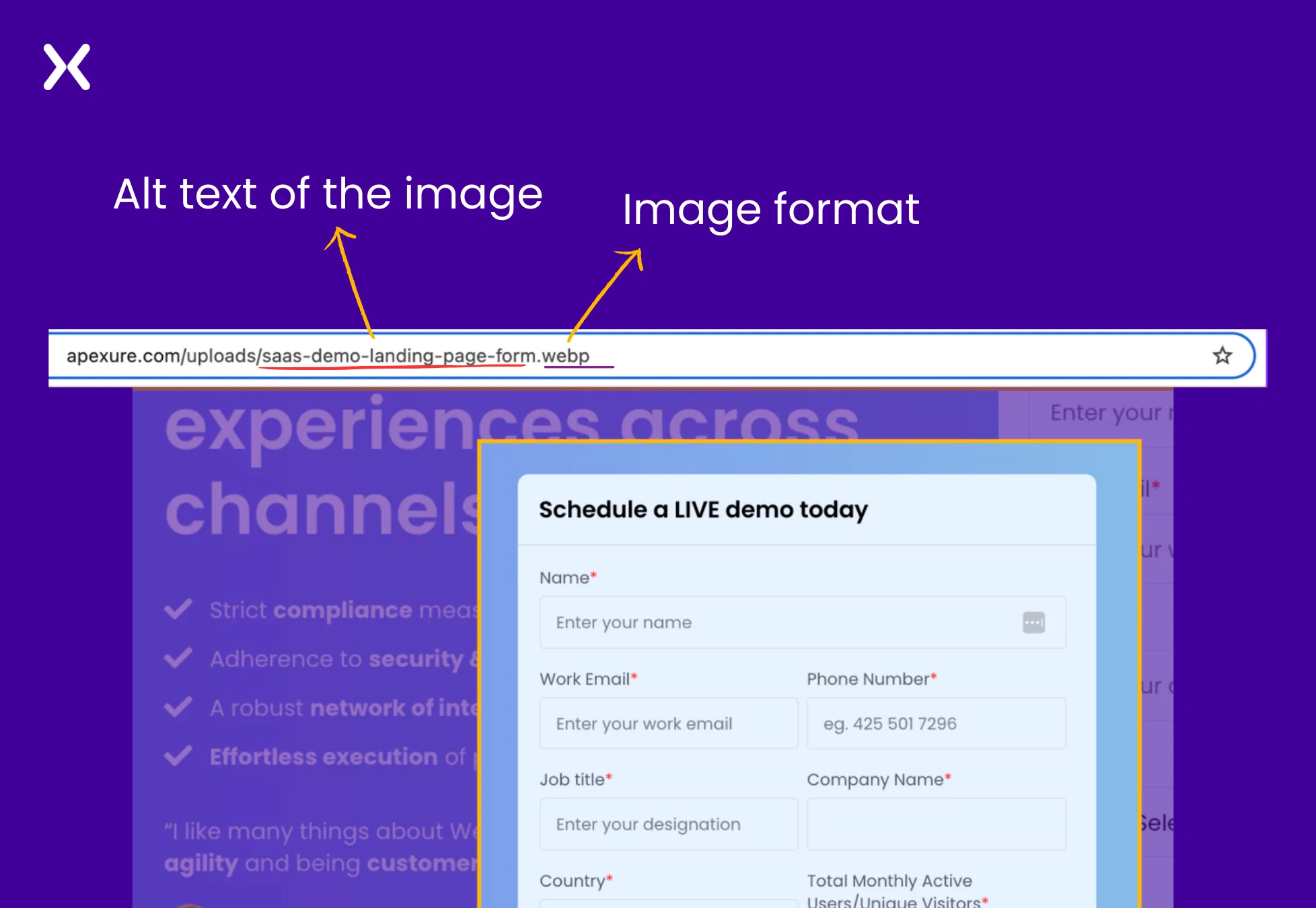 images-on-landing-page-seo.webp