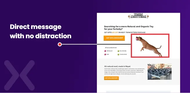 Avoiding-distractions-on-alanding-page-for-a-product