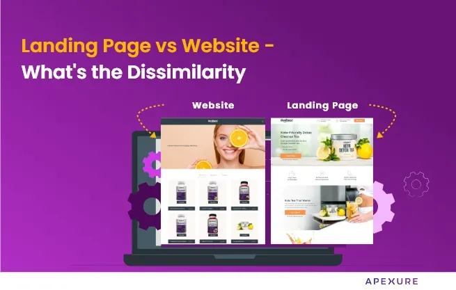 landing-page-vs-website