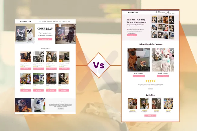 landing-page-vs-website