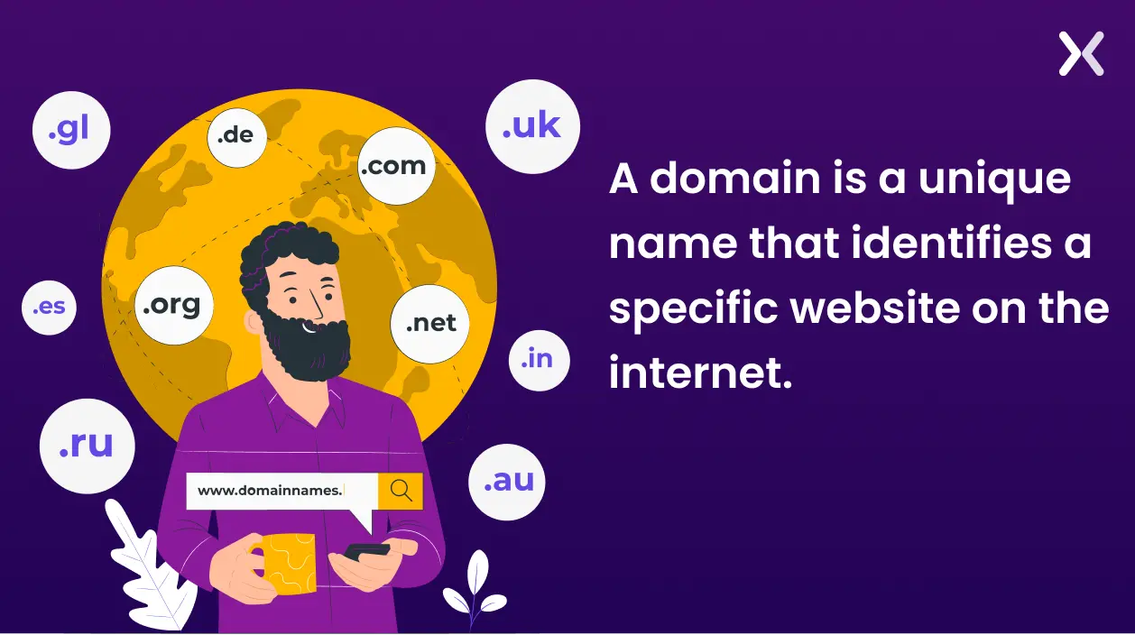 what-is-a-domain.webp